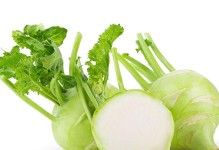 大头菜的品种和特点（探秘大头菜的生长环境、形态特征和营养价值）