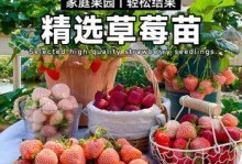 草莓苗种植必备盆器，如何选择？（盆器大小直接影响草莓苗生长，一定要注意！）