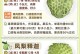 如何判断一件事是否释怀？（释怀的关键是什么？）