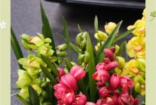以蕙兰大一品怎么养才能开花（打造枝繁叶茂的蕙兰大一品花园）