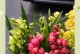 以蕙兰大一品怎么养才能开花（打造枝繁叶茂的蕙兰大一品花园）