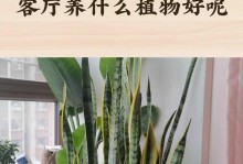 虎皮兰分枝繁殖的方法与技巧（以虎皮兰分枝繁殖的步骤和注意事项）