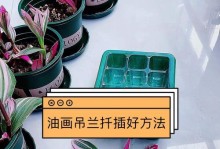 九月的牡丹吊兰（探秘九月牡丹吊兰扦插技巧，共享家居绿植盛宴）