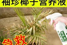 以袖珍椰子叶子长斑的原因及解决方法（袖珍椰子叶子长斑的成因及针对性管理措施）