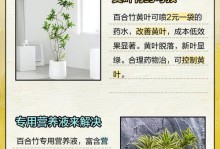 百合竹叶子冻焉的制作方法及食用价值（味美营养丰富，百合竹叶子冻焉成为夏日佳品）