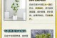 百合竹叶子冻焉的制作方法及食用价值（味美营养丰富，百合竹叶子冻焉成为夏日佳品）