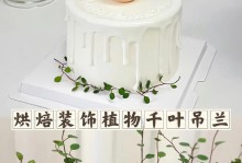 吊兰的养护小技巧——浇白糖水（吊兰怎样才能更健康、更美丽）