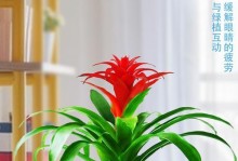 如何培养鸿运当头，让好运接连不断（掌握这些秘诀，为未来铺平黄金大道）