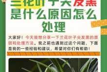 帝王花叶子变黑的原因与处理方法（揭秘帝王花叶子变黑的真相，教你轻松恢复植株健康）