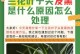 帝王花叶子变黑的原因与处理方法（揭秘帝王花叶子变黑的真相，教你轻松恢复植株健康）