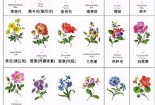 如何繁殖切花满天星花（掌握技巧，让你的满天星花充满生机）