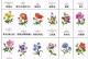 如何繁殖切花满天星花（掌握技巧，让你的满天星花充满生机）