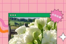伴随一生的花语——迎春花（向爱情宣誓，陪伴始终）