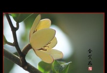 含笑花耐寒温度的研究（探究含笑花生长和生存的极限条件）