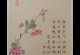 海棠花高度过高的处理方法（让海棠花保持适宜高度的关键技巧）