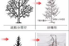 盆栽苹果树修枝技巧（打造健康苹果树，享受丰收乐趣）