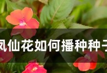 探究凤仙花的授粉方式（凤仙花的自花授粉机制及特点）