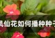 探究凤仙花的授粉方式（凤仙花的自花授粉机制及特点）