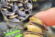 黑瓜子的来源和特点剖析（探究黑瓜子是哪种植物的种子及其药用价值）