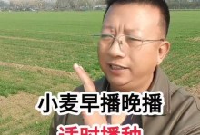 如何科学种植麦子？（掌握种植时间和方法，丰收更轻松）