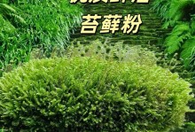 如何有效去除花盆里的青苔（简单方法让花盆重现清新）