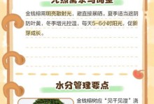 室内榕树的养殖方法与技巧（打造绿意盎然的居家空间，榕树成为最佳选择）