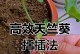 秋季天竺葵修剪技巧（打造美丽花坛的关键步骤）