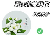 如何在家中养茉莉花？（学习茉莉花的家庭养法，让您的家充满芬芳）