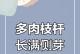 多肉小芽的处理技巧（从培育到繁殖，打造多肉花园的秘诀）