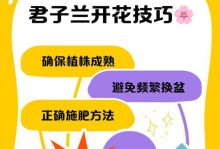 君子兰分株技巧大全（掌握分株技巧，打造繁盛君子兰家族）