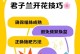 君子兰分株技巧大全（掌握分株技巧，打造繁盛君子兰家族）