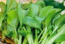 4月份春季蔬菜种植指南（掌握4月份适合种植的菜品和技巧，打造丰收春天）