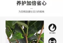 花土花卉运输的方法与注意事项（精心运输，保障鲜花生命力）