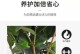 花土花卉运输的方法与注意事项（精心运输，保障鲜花生命力）