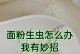以灰莉生虫怎么办？（探索有效解决方法，拯救植物健康）