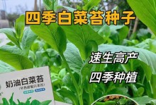 如何选择优质的白菜种子（白菜种子品种推荐及选购技巧）