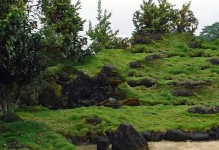 火山岩上的植物世界（以适应火山环境为特点的植物群落）