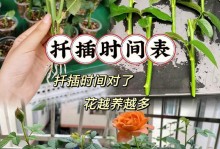 长寿花扦插指南（适宜的时间和方法，让你轻松种出长寿花）