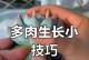 多肉养护（保持多肉健康生长的关键，喷水不可忽视）