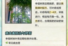 如何防止幸福树叶子发干脱落（关注养护技巧，让幸福树焕发生机）