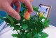 以摘回来的花的水培技巧（在家种植美丽的花卉，从摘回来的花开始）