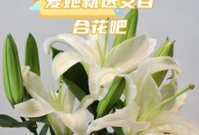 花语祝福（用鲜花传递温暖心意，送上最真挚的祝福）