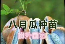 探秘八月炸籽的神奇功效（解密八月炸籽的营养价值，让你吃得更放心）