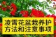 夏季凌霄花扦插的方法与时间（掌握正确的繁殖技巧，打造夏日花园的瑰丽景观）