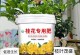 桂花专用肥的正确使用方法（让你的桂花香气四溢的秘诀）
