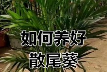 以散尾竹的土壤怎么配（优质土壤的关键配比方法）