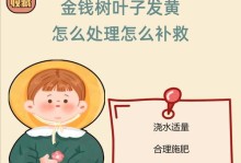 如何养护金钱树，让其保持翠绿色的鲜活（金钱树养护指南，轻松避免变黄）