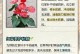 红掌烂根的原因及矫治方法（揭秘红掌烂根的形成机制，教你如何防止和治疗）