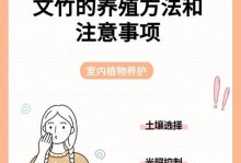 室内文竹的养护与细节（打造舒适室内环境，让文竹欣欣向荣）