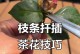 茶花扦插之技巧与方法（茶花扦插如何成功）
